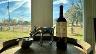 Black Sheep Hideaway Modern Countryside Serenity - Clermont - 2
