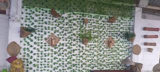 Sunshine Homestay - 4
