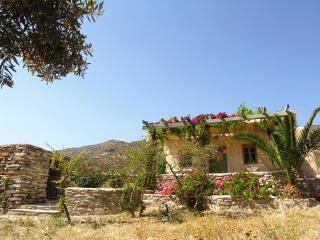 Perivoli House - Mylopotas - 9