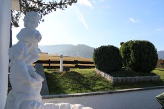Luxus-Landhaus im Schwarzwald/Baiersbronn mit Pool - Baiersbronn - 9