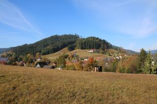 Luxus-Landhaus im Schwarzwald/Baiersbronn mit Pool - Baiersbronn - 6