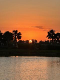 Sandy Bottoms! - Cape Coral - 1