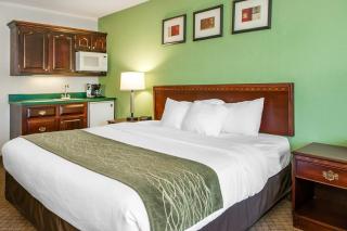 Comfort Inn Goshen - Goshen - 4