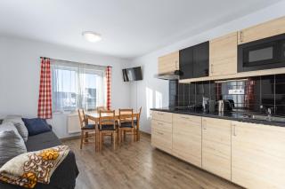 Apartmán Cubik Boží Dar - Boží Dar - 7