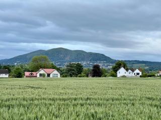 Deja View - Bransford - 0