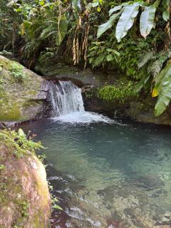 Petit Paradis - Martinique - Schœlcher - 2