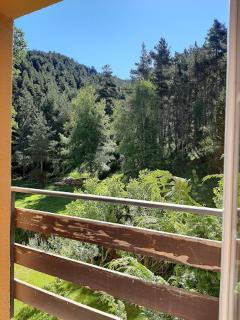 FINCA RUSTICA RB La Molina - 1