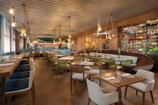 Dreams Cap Cana Resort & Spa - Punta Cana - 8