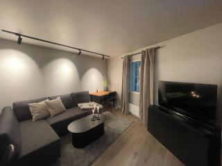Newly renovated apartment in the middle of Trondheim city centre - Trondheim - 8