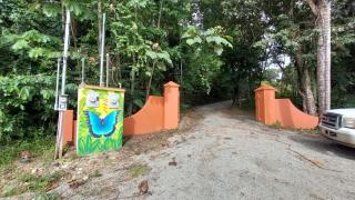 Studio Pilon De Pavones - Pavones - 8