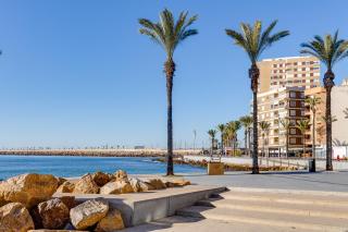 Studio Del Cura - Torrevieja - 1