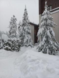Forest View Residence - Borovets - 2