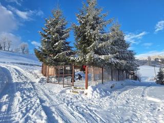 Casa Corina Sirnea - Şirnea - 0