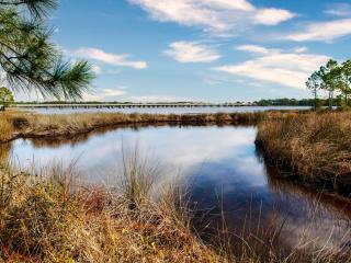 Laguna Breeze - Panama City Beach - 3