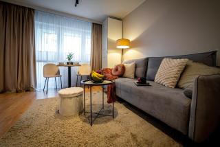 Cosy Apartment Połczyńska 6 - Bydgoszcz - 7
