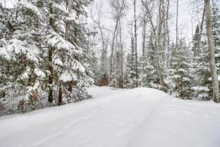 Nashwauk Studio with Ice Fishing on South Fork Lake - 9