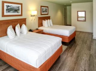 Peaks of Otter Lodge - Bedford - 9