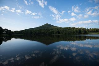 Peaks of Otter Lodge - 9