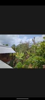 Lala's Place - Isla Fuerte - 0