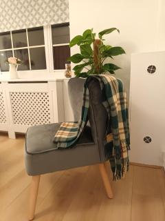 Good Charming Apartment - 5