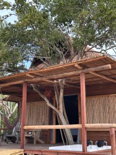 Awatawaa Ecolodge - La Punta de los Remedios - 7