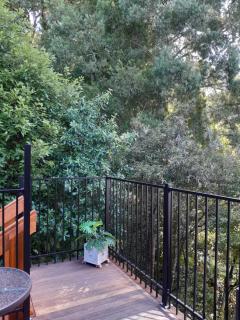 Tree Tops Get Away - Auckland - 3