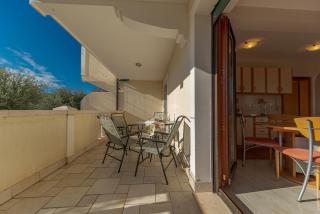 Apartment Sofija Petrovac - Petrovac na Moru - 1