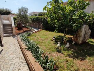 Apartments by the sea Mandre, Pag - 23187 - 3