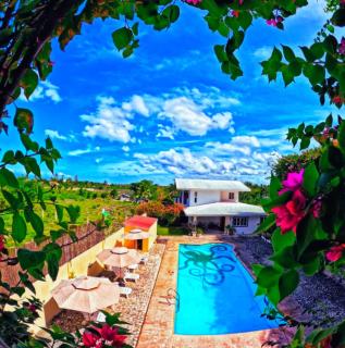 Divers Lodge Plumeria - 8