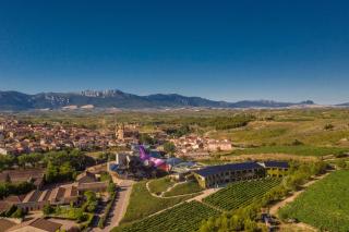 Hotel Marqués de Riscal, a Luxury Collection Hotel, Elciego - Elciego - 7