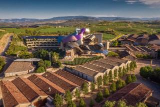 Hotel Marqués de Riscal, a Luxury Collection Hotel, Elciego - Elciego - 5