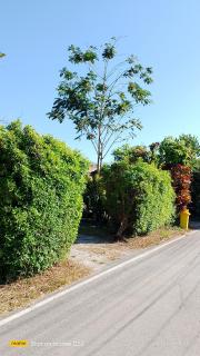 บ้านสโนว์เขาค้อ - Ban Huai Phai - 0