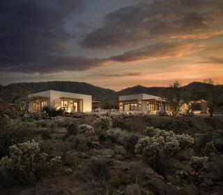 Fleur - Joshua Tree - 0