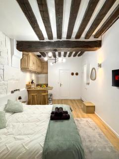 Le Columba-Studio Parisien Saint-Germain - 5