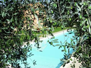 Farmhouse with pool in Castiglione del Lago - Castiglione del Lago - 2