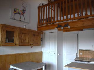 Confortable Appartement 2 pièces en mezzanine avec jardin à Bolquère - FR-1-592-80 - 6