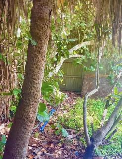 IMG, Bradenton Beach, Anna Maria, Siesta Key Beach, Near Shorewalk villas - 4