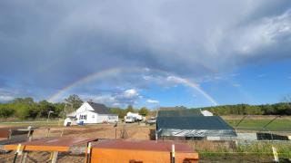 Blanchard Farm - Diggs - 0