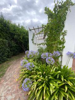 Vine Cottage - Franschhoek - 9