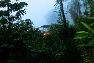 Paseo Por Las Nubes Birding Lodge - - 9