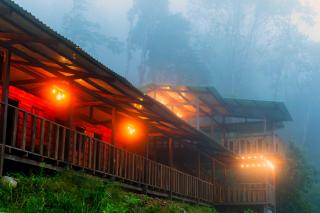 Paseo Por Las Nubes Birding Lodge - - 7