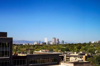 The Jacquard, Autograph Collection - 1