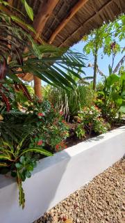 Iaia apartments - Jambiani - 3