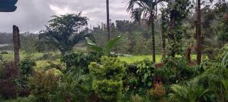 The Chapters - Sakleshpur - 5