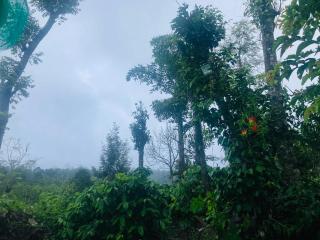 The Chapters - Sakleshpur - 7