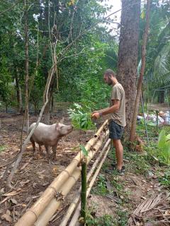 Green Garden Homestay - - 5