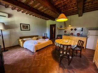 Tenuta Borgo al Sole - San Miniato - 5