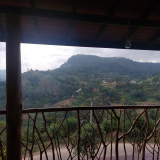 The Dream Inn - Ella - 6