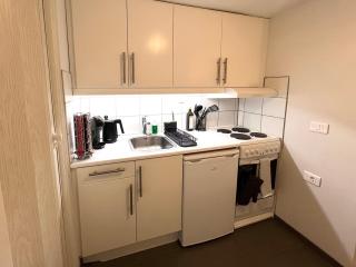 Reykjavik apartment 105 - Reykjavík - 1