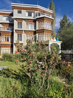 Hotel Reenam - Leh - 2